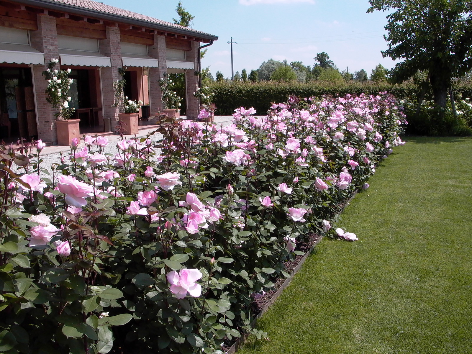agriturismo
