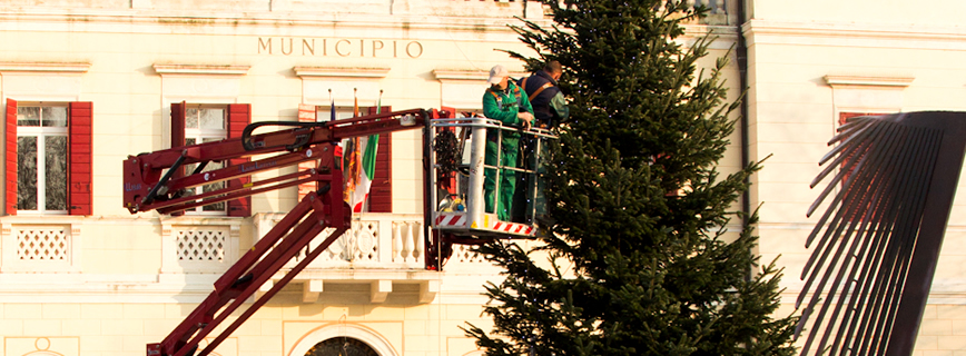 Dal Ben Giardini contribuisce all’allestimento dell’albero di Natale a Scorzè