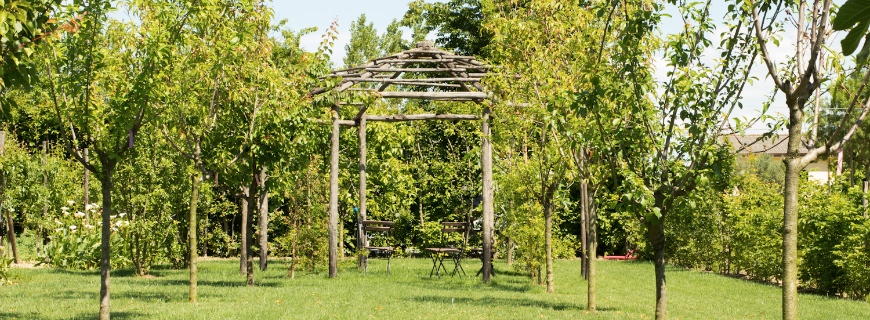 Quali lavori son da fare a Giugno in giardino?