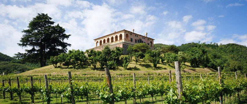 L’evento del FAI è un’ottima occasione per visitare il giardino di Villa dei Vescovi