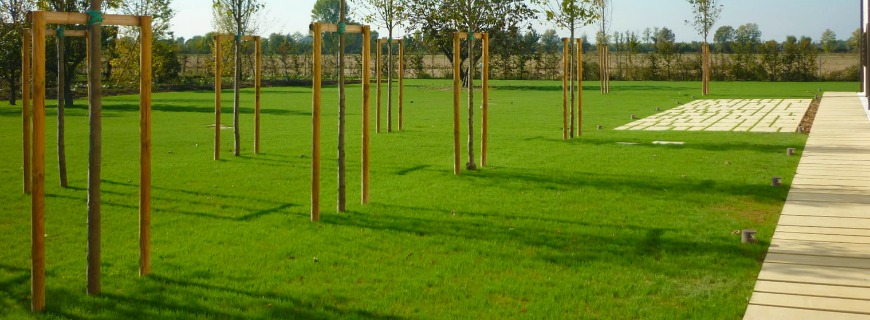 Semina del prato in autunno: i tre passi chiave
