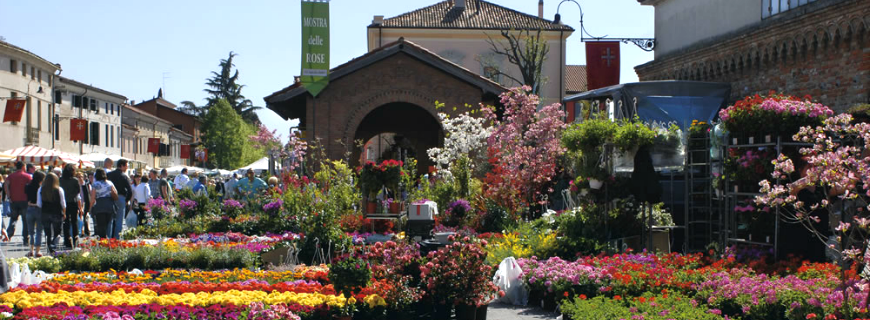 feste dei fiori