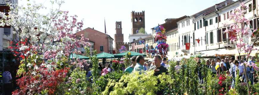 feste dei fiori