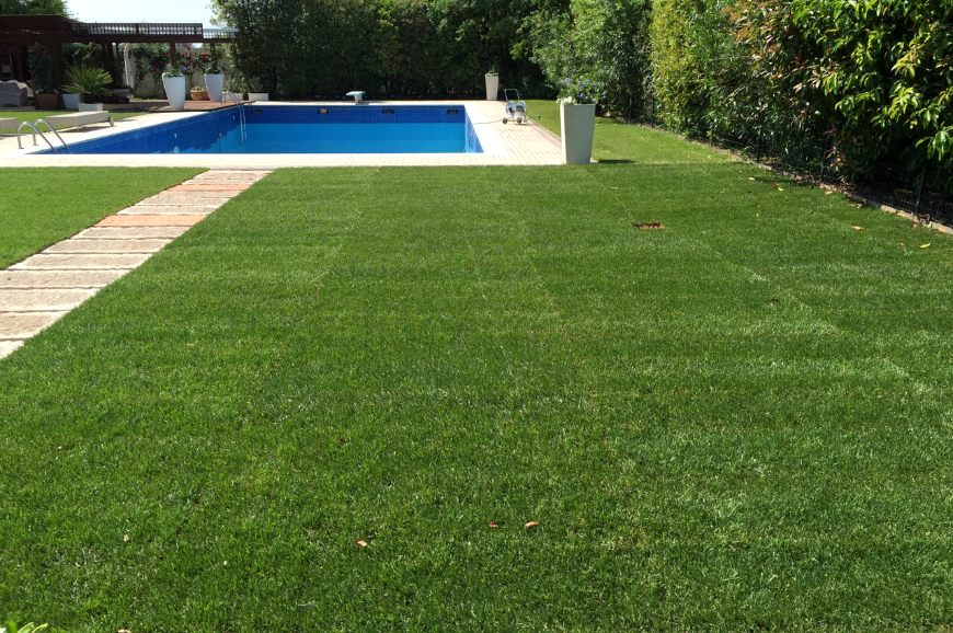 prato a rotoli piscina dal ben