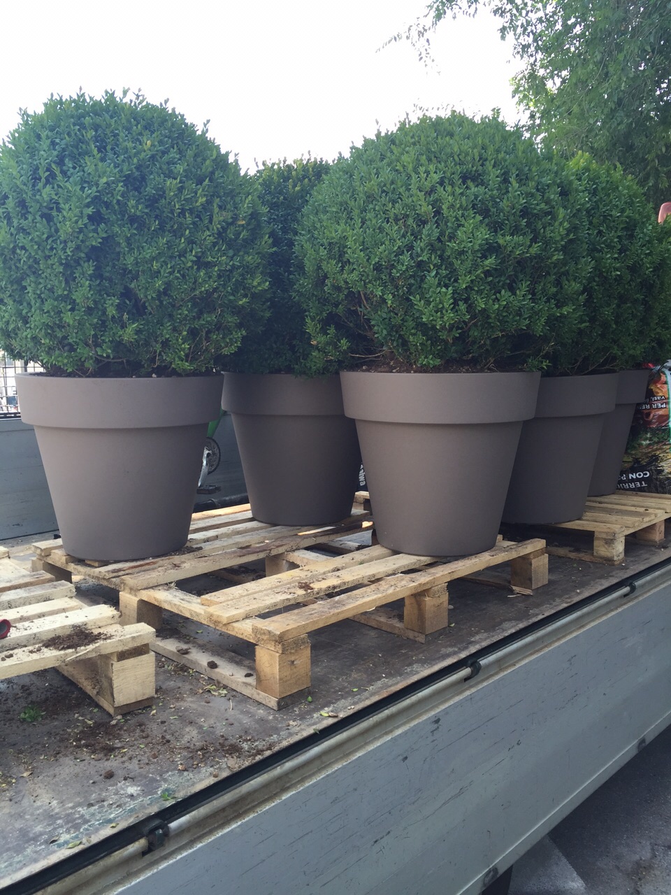 lavori sistemazione giardino Treviso