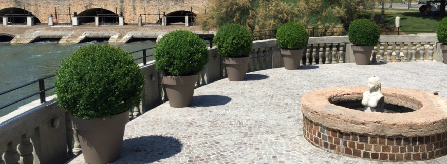 Realizzazione di un giardino privato a Treviso