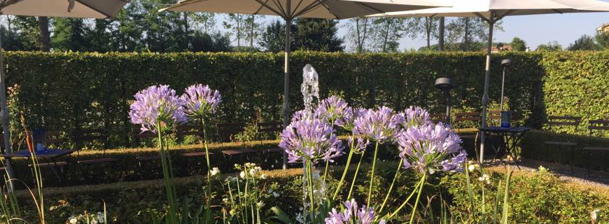 Giardino delle Rose: una serata all’insegna della musica
