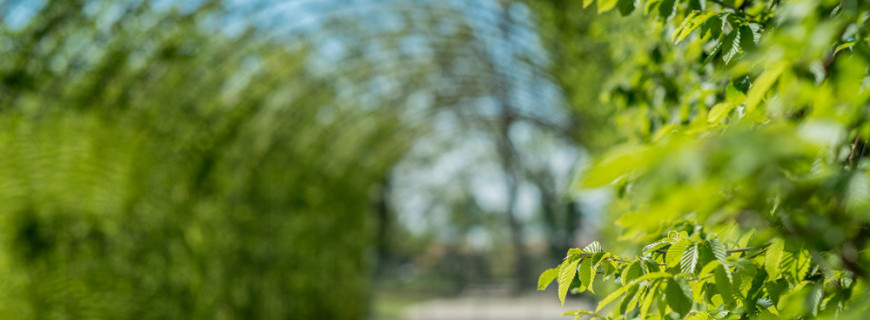 Giardini per Aziende: aree verdi come valore aggiunto