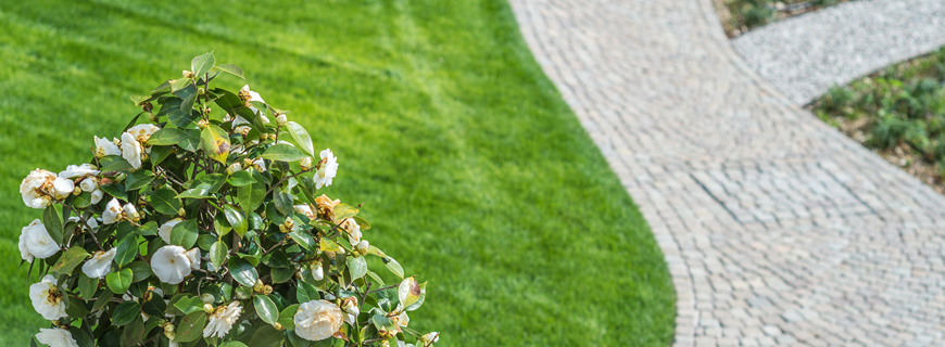 Cosa considerare per progettare e realizzare un giardino?