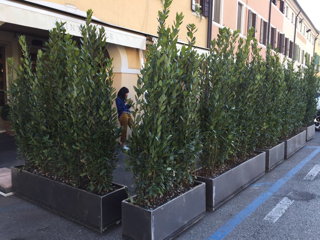 fioriere