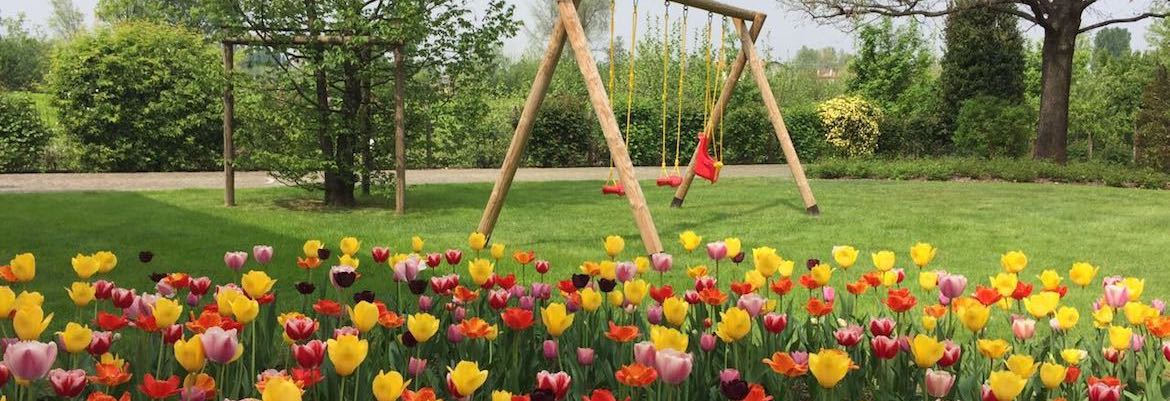 prato di tulipani