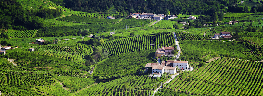 Giardini per Cantine: un biglietto da visita per tutto il territorio Conegliano Valdobbiadene