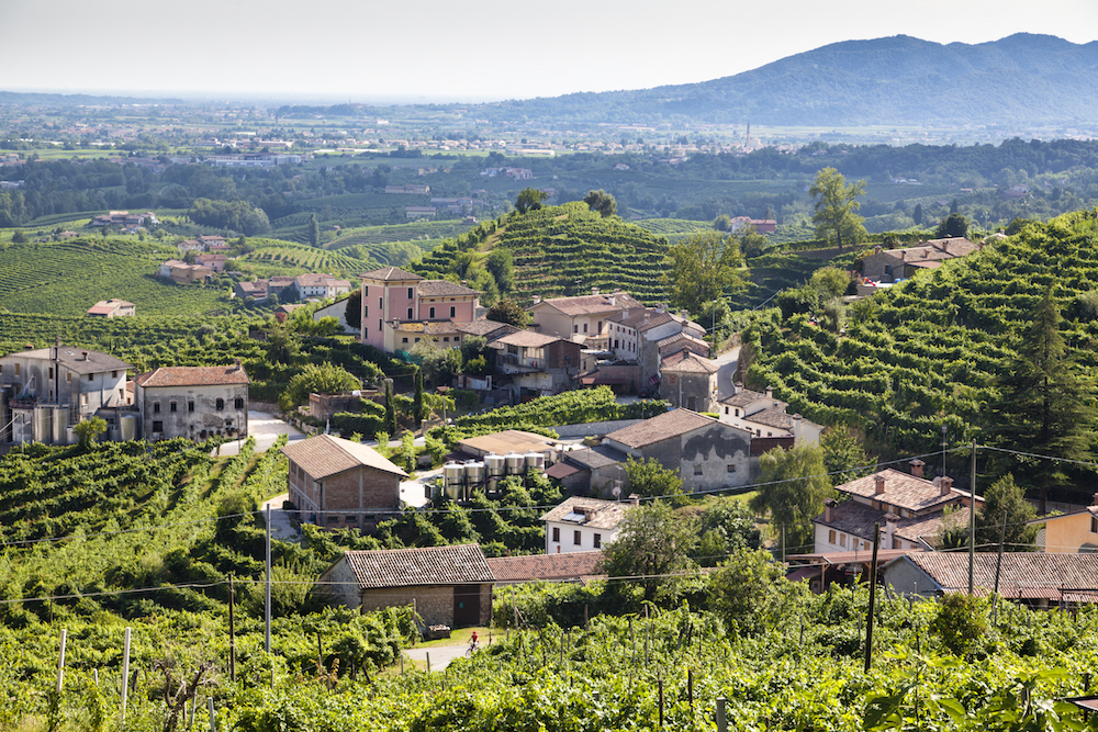 Colline del prosecco