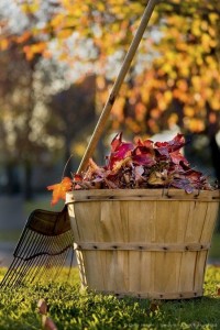 autunno