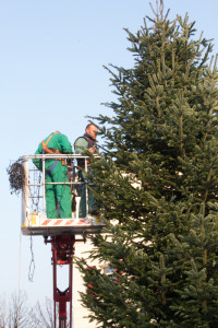albero di natale
