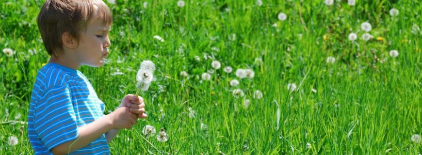 20 Marzo 2014: Equinozio di primavera! E riprendono i lavori in giardino…
